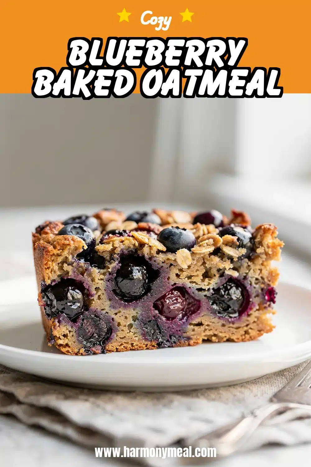Storage and leftovers for Blueberry Baked Oatmeal
