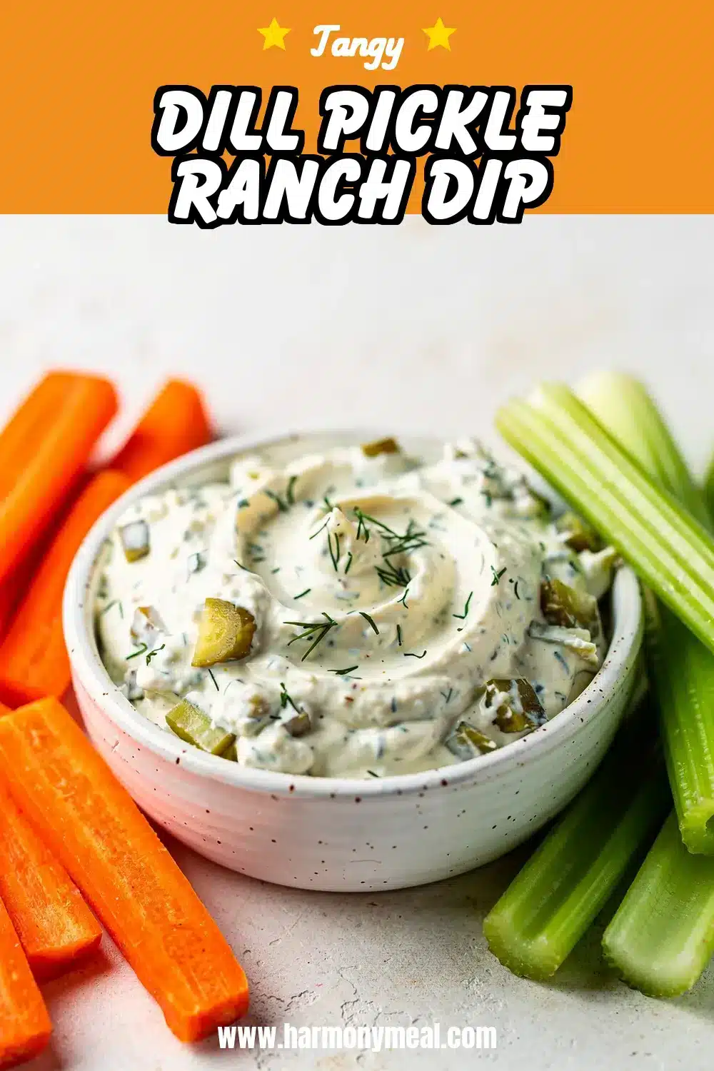 Storage and leftovers for Dill Pickle Ranch Dip