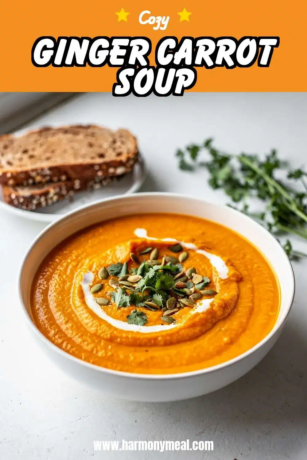 Storage and leftovers for Ginger Carrot Soup