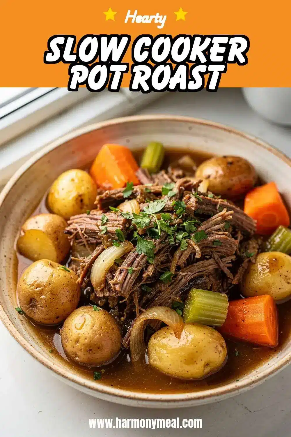 Storage and leftovers for Slow Cooker Pot Roast