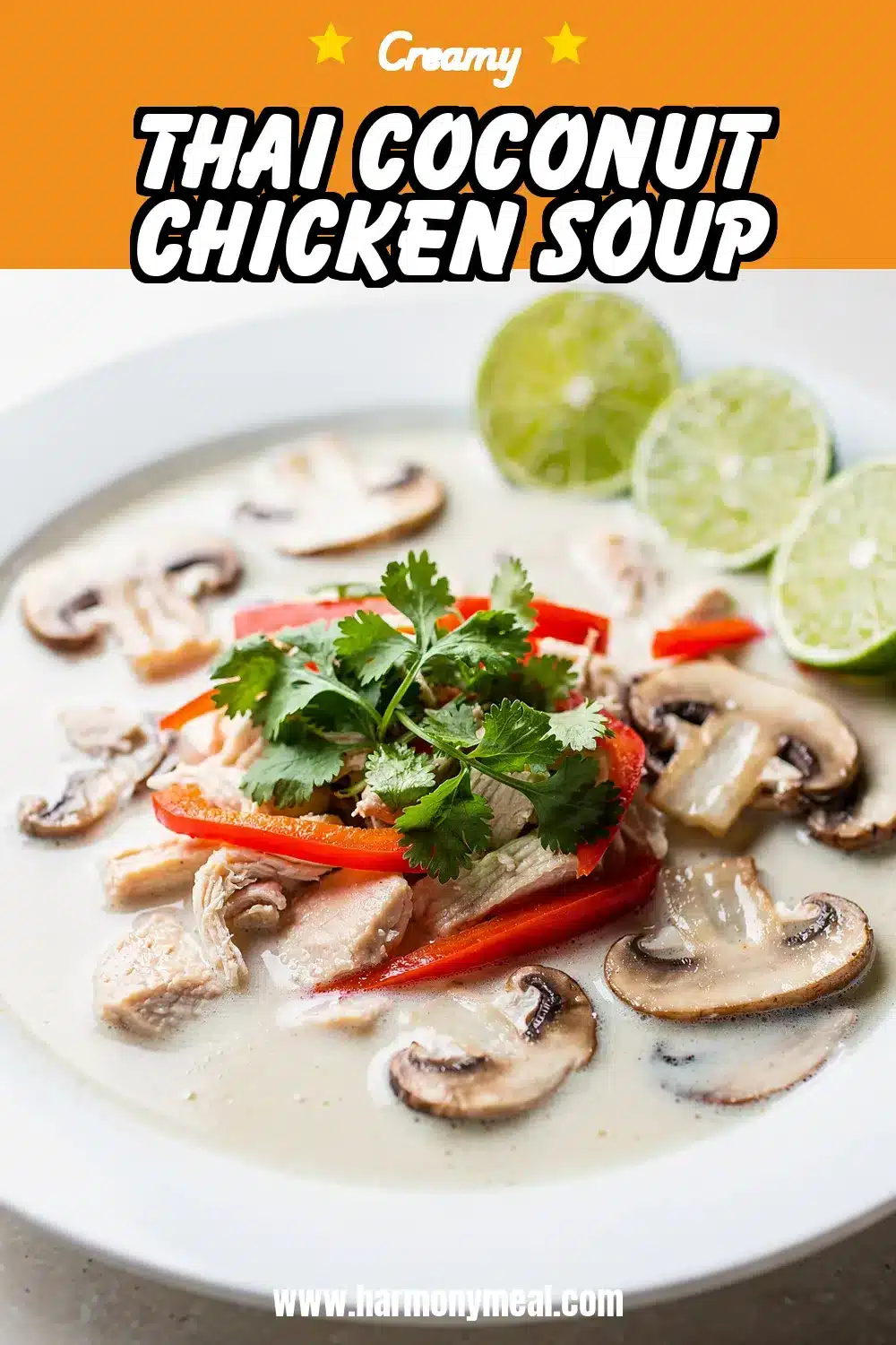 Storage and leftovers for Thai Coconut Chicken Soup