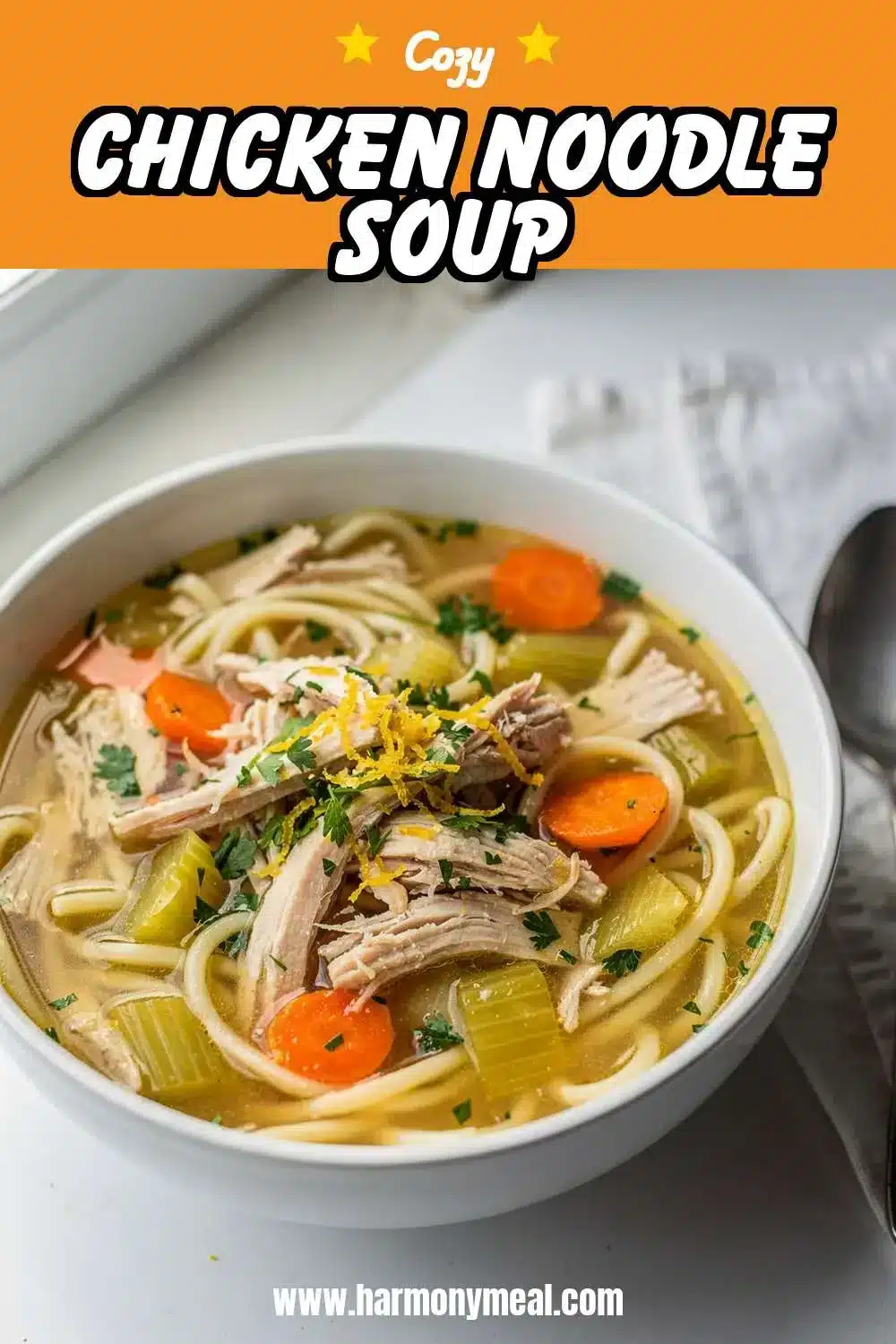 Storage and leftovers for Chicken Noodle Soup