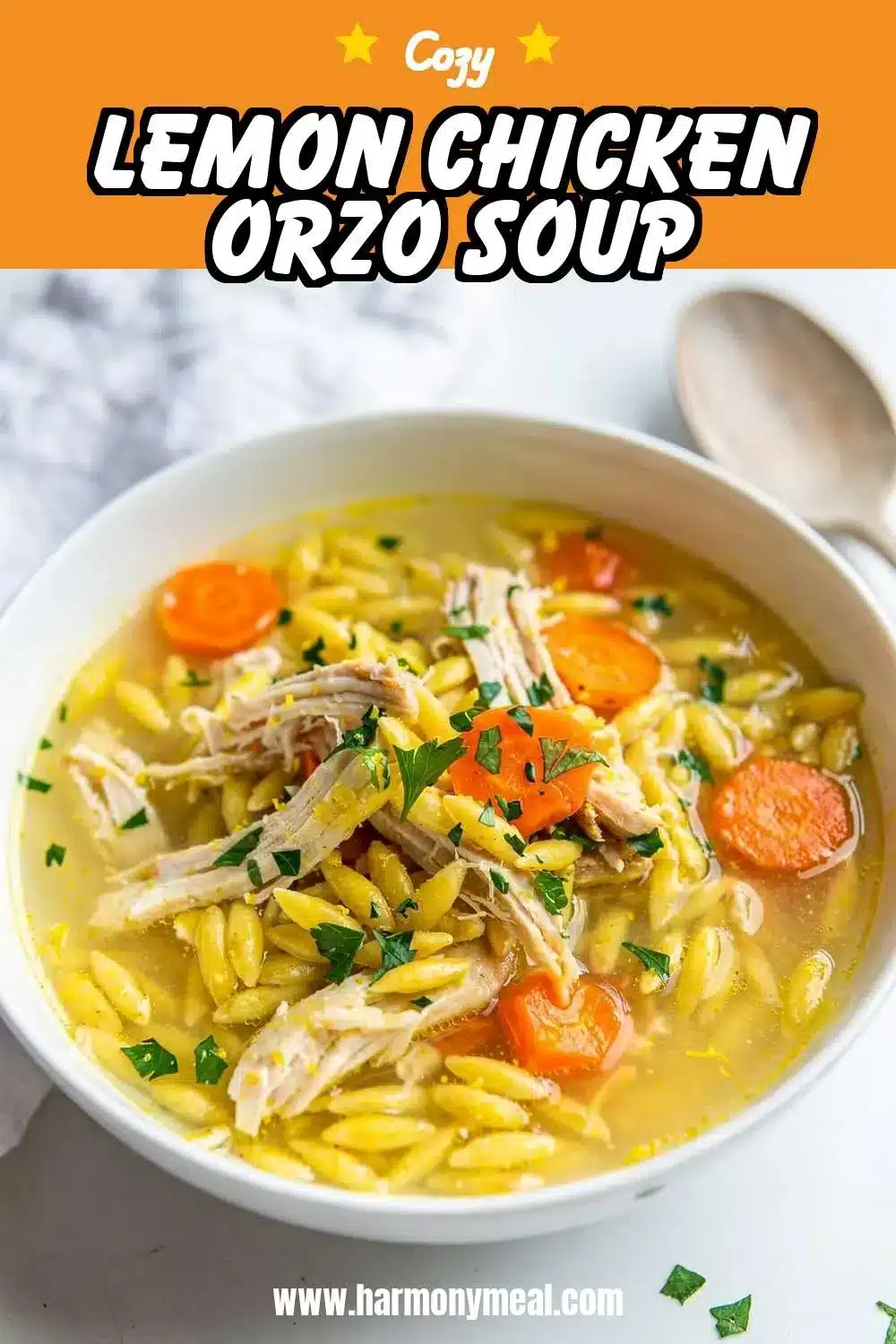 Storage and leftovers for Lemon Chicken Orzo Soup