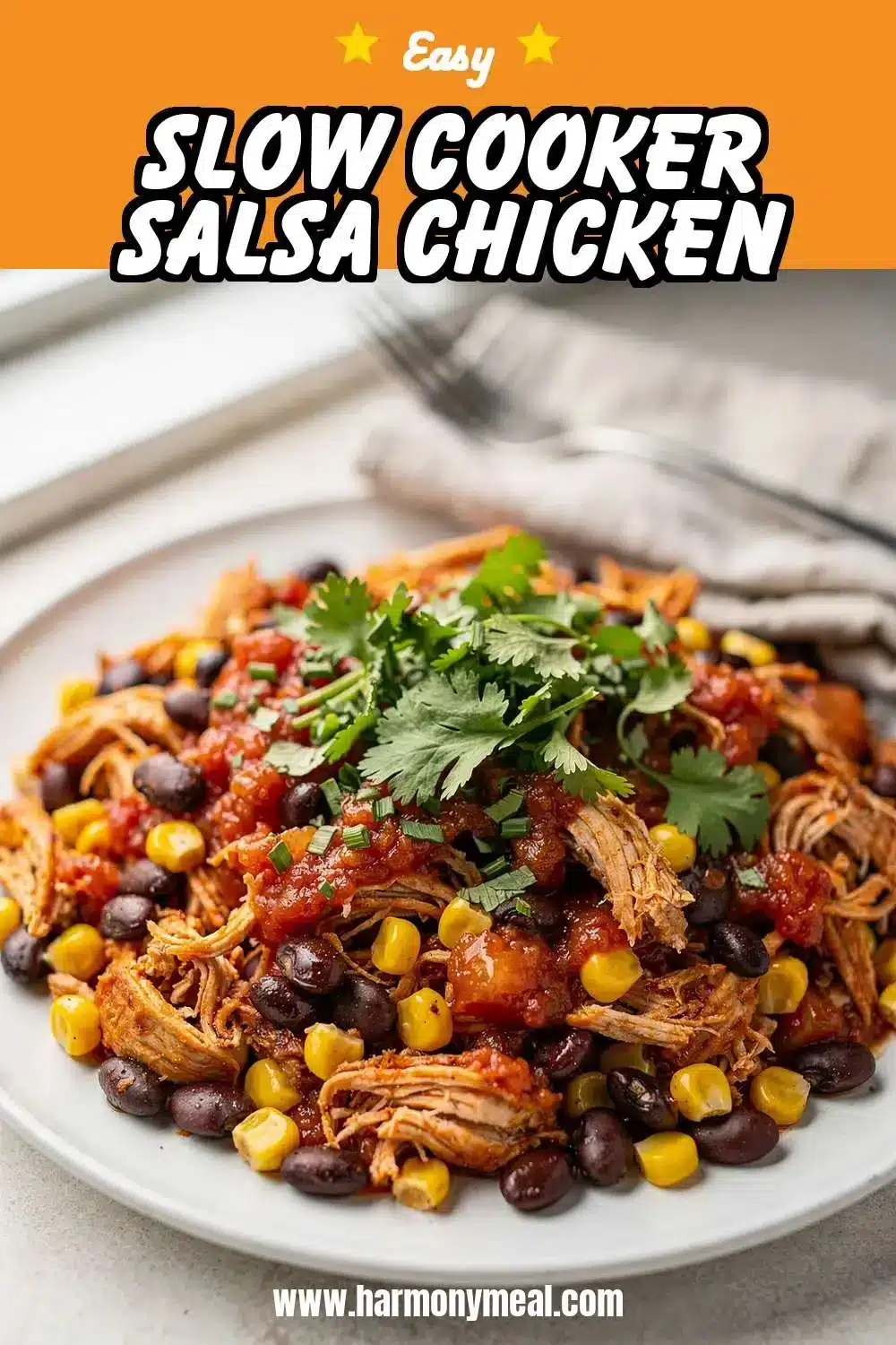 Storage and leftovers for Slow Cooker Salsa Chicken