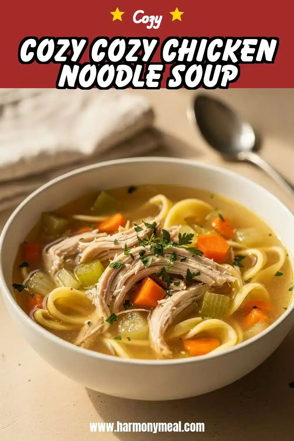 Storage and leftovers for Cozy Cozy Chicken Noodle Soup