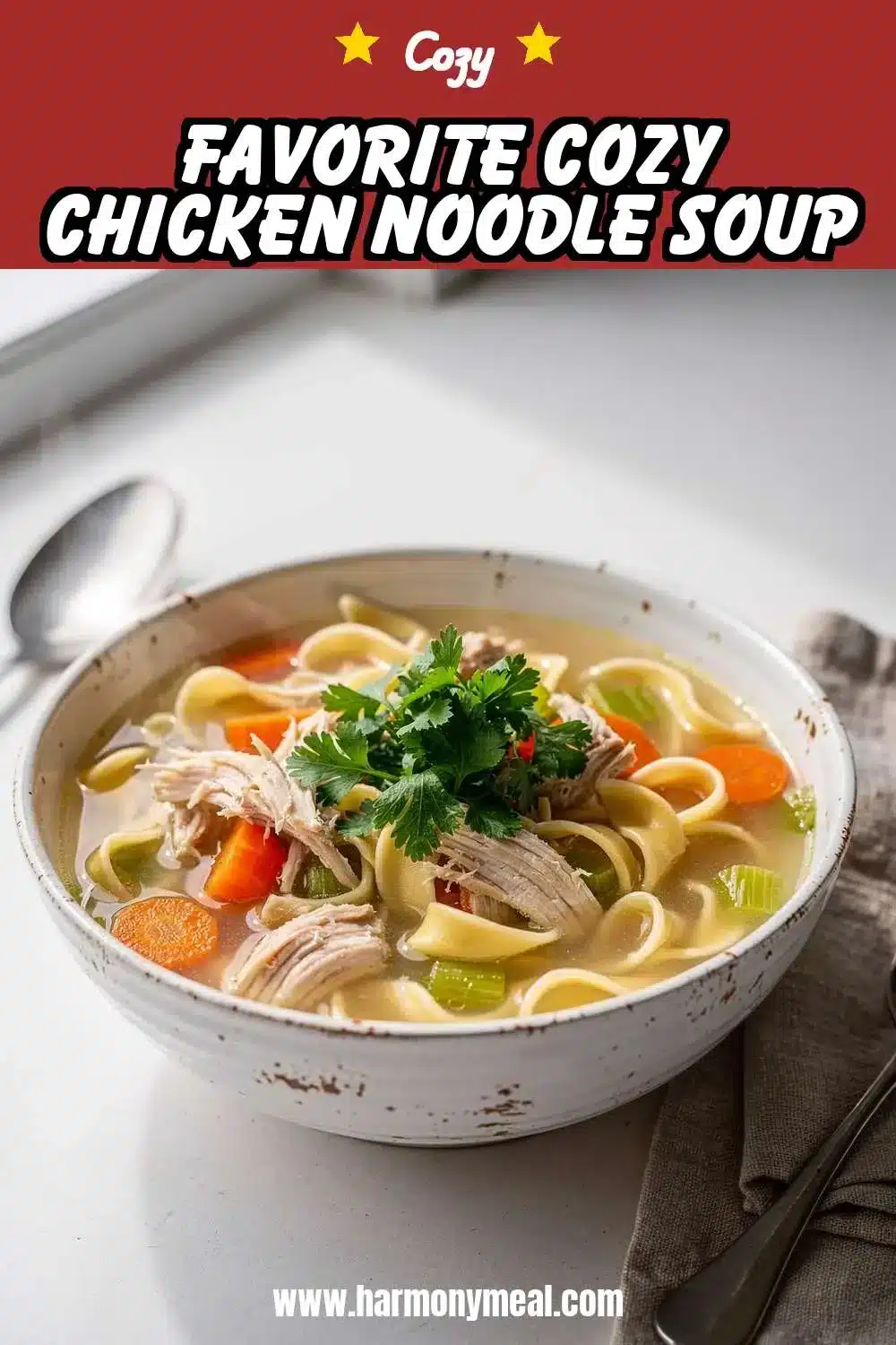 Storage and leftovers for Favorite Cozy Chicken Noodle Soup