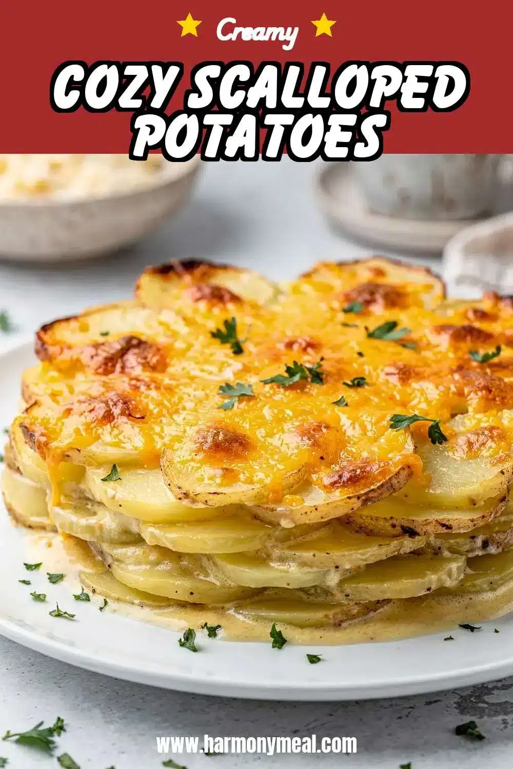 Storage and leftovers for Cozy Scalloped Potatoes