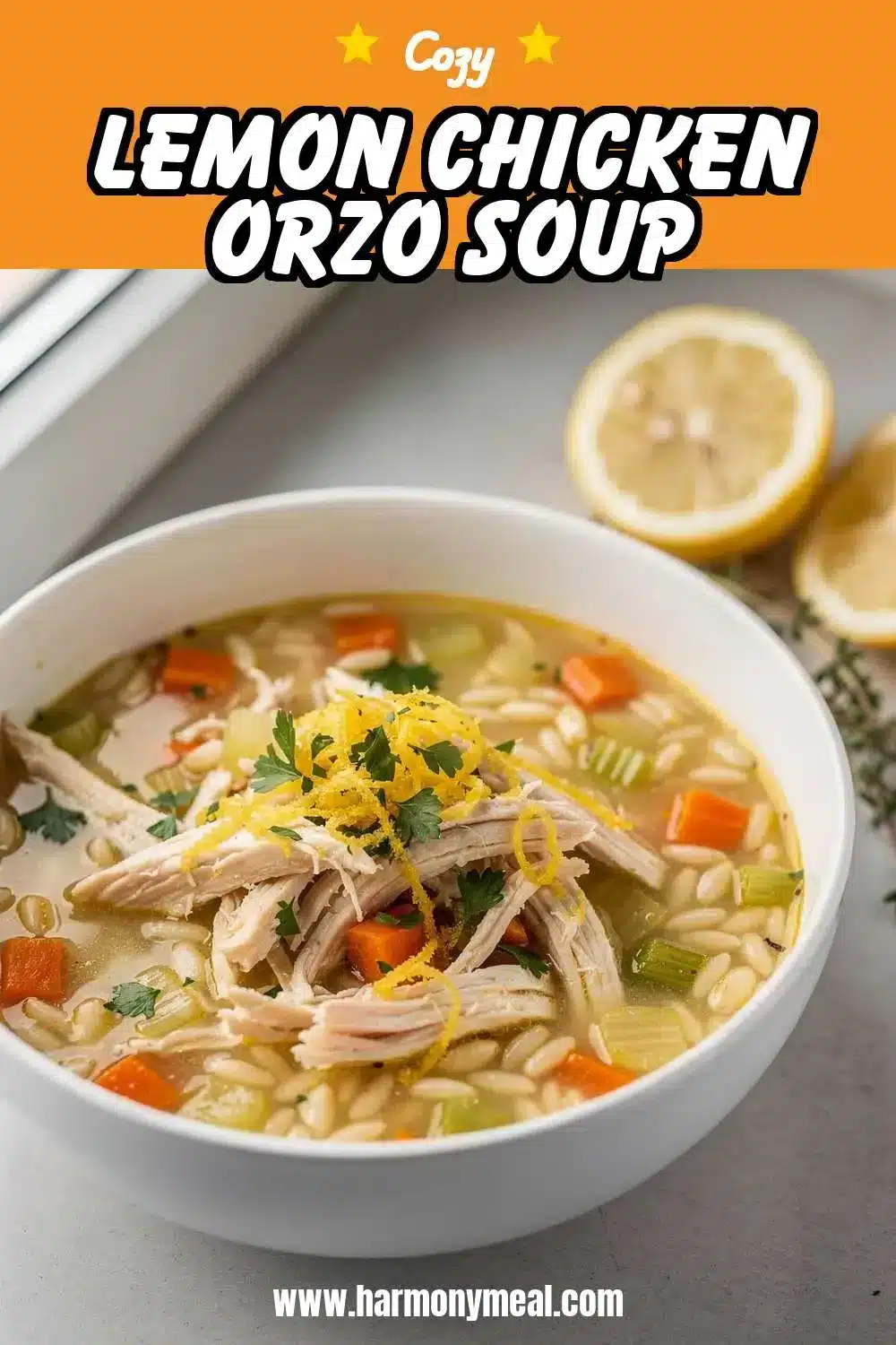 Storage and leftovers for Lemon Chicken Orzo Soup