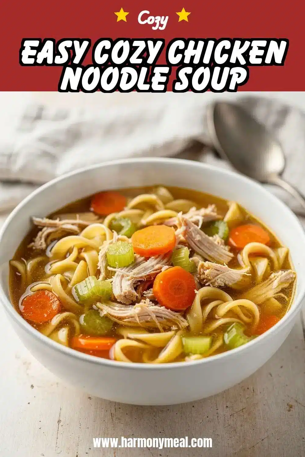 Storage and leftovers for Easy Cozy Chicken Noodle Soup