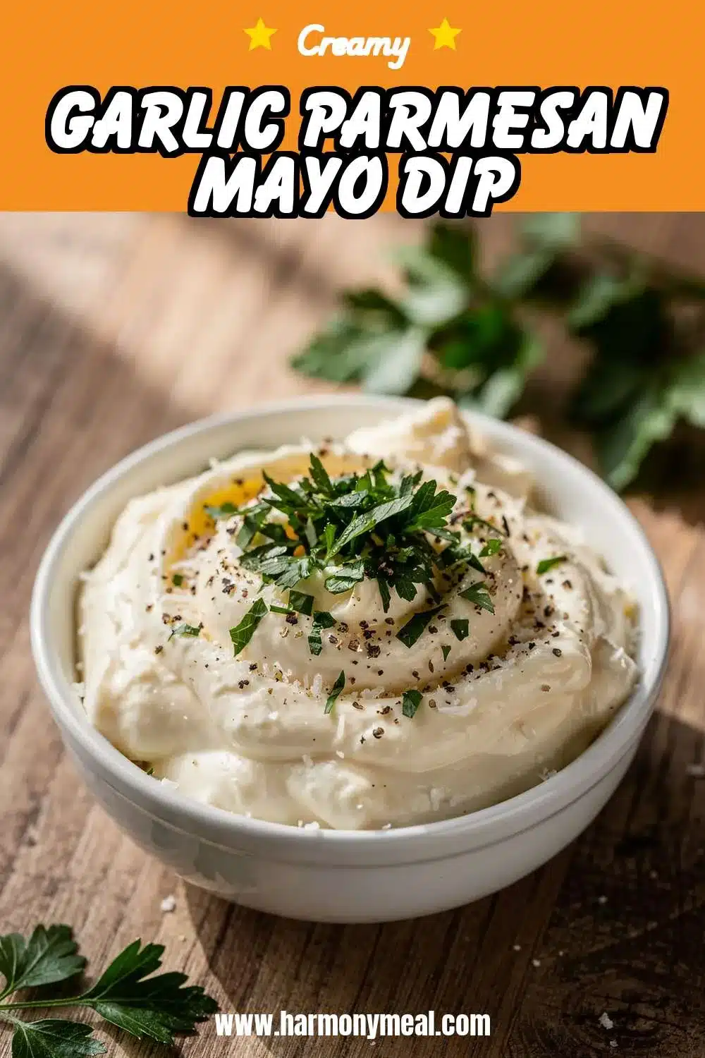 Storage and leftovers for Garlic Parmesan Mayo Dip
