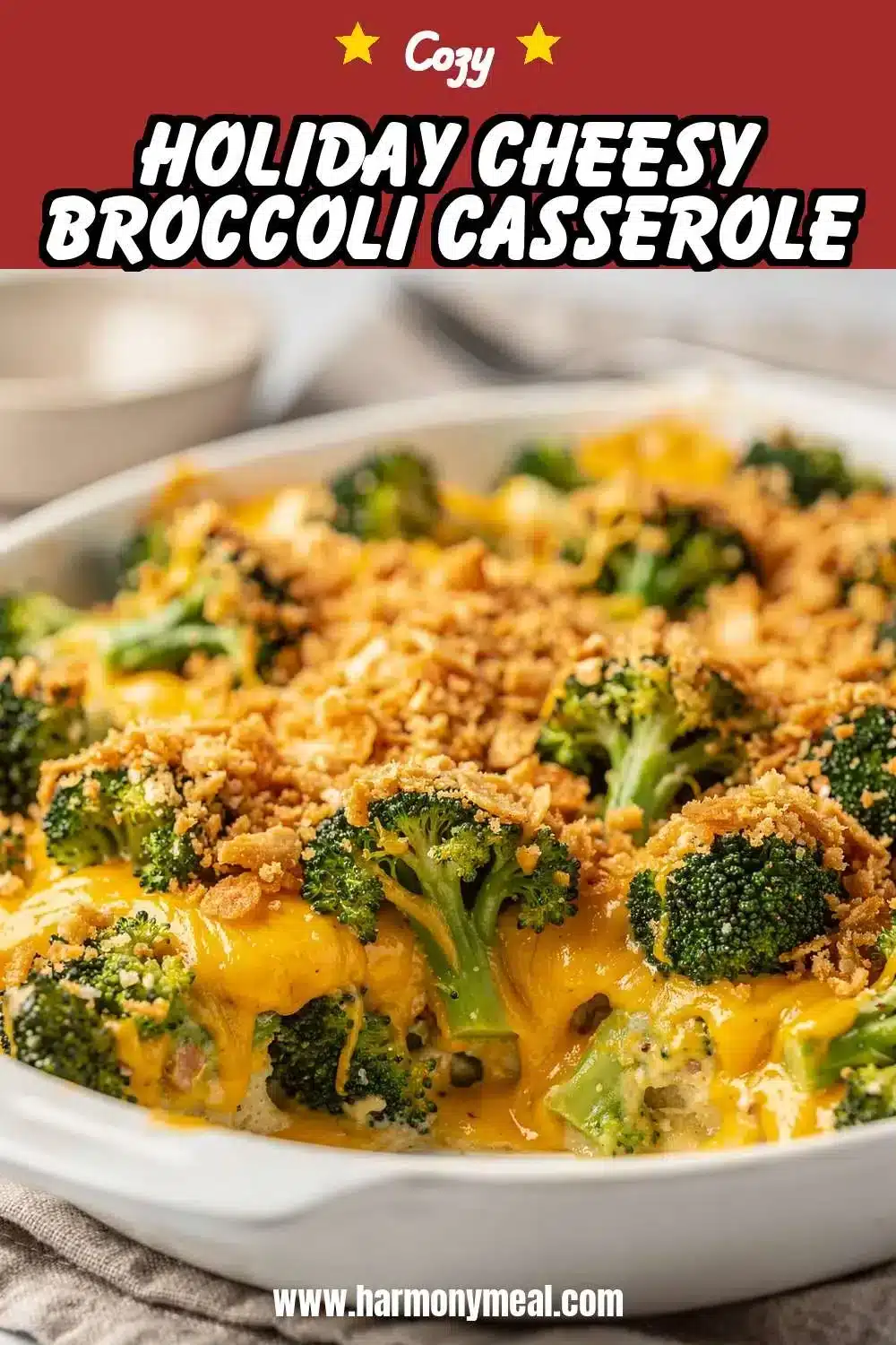 Storage and leftovers for Holiday Cheesy Broccoli Casserole