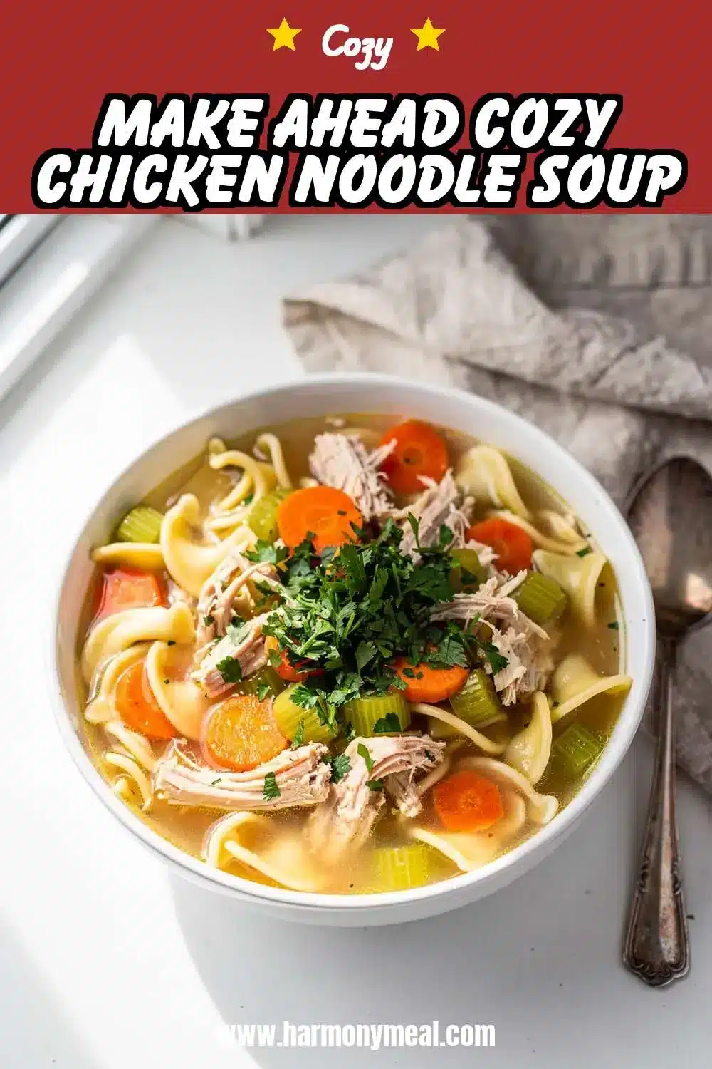 Storage and leftovers for Make Ahead Cozy Chicken Noodle Soup