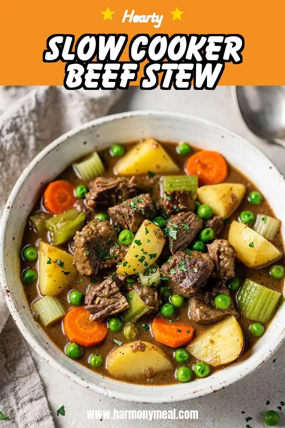Storage and leftovers for Slow Cooker Beef Stew