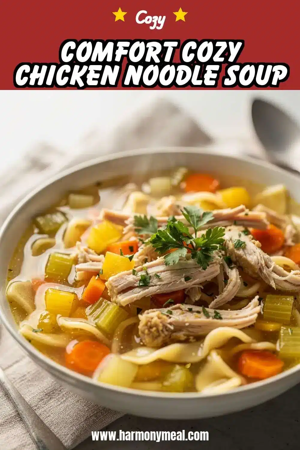 Storage and leftovers for Comfort Cozy Chicken Noodle Soup