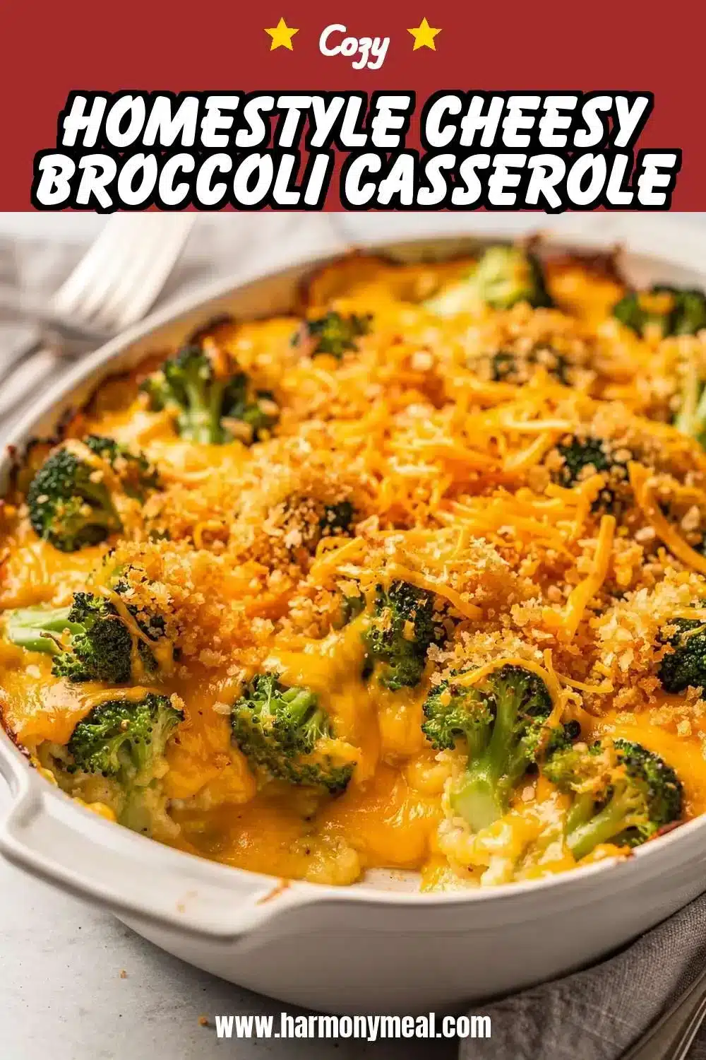 Storage and leftovers for Homestyle Cheesy Broccoli Casserole