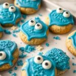 Sugar Cookie Monster Treats on a Platter