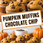 Pumpkin muffins chocolate chip close-up with golden tops and chocolate chips
