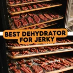 Homemade beef jerky recipe using the best dehydrator for jerky