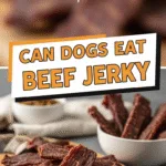 Beef jerky dog treats healthy homemade snacks for your pup
