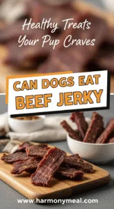 Beef jerky dog treats healthy homemade snacks for your pup