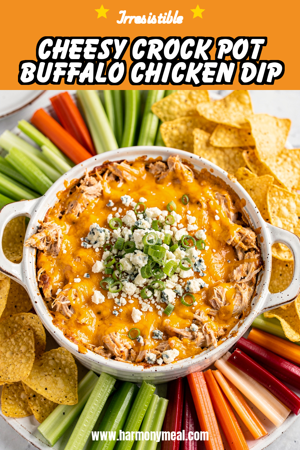 Storage and leftovers for Cheesy Crock Pot Buffalo Chicken Dip