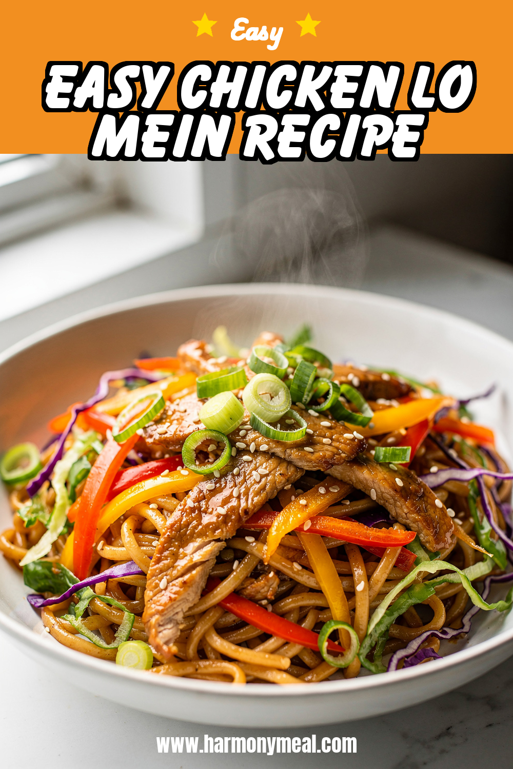 Storage and leftovers for Easy Chicken Lo Mein Recipe