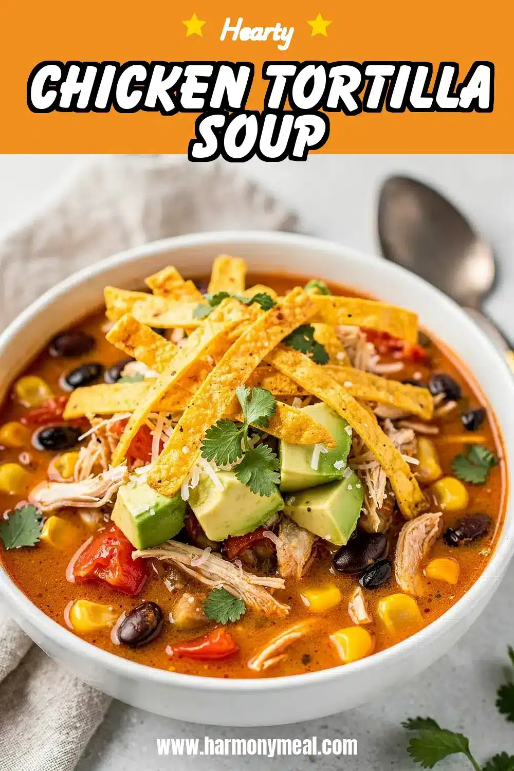 Storage and leftovers for Chicken Tortilla Soup