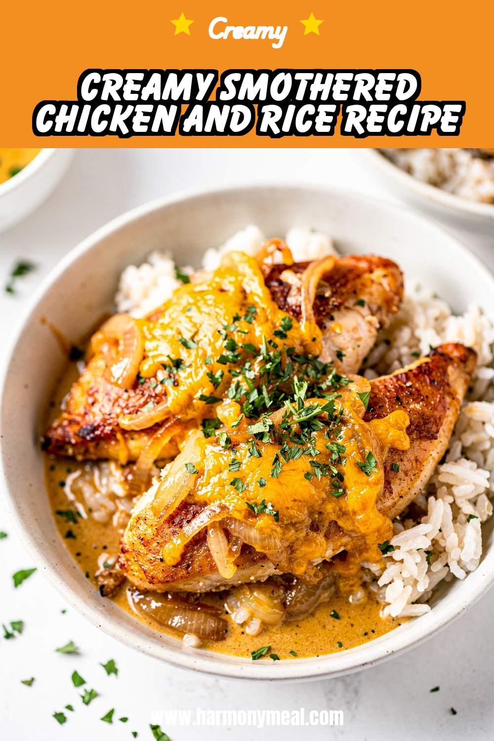 Storage and leftovers for Creamy Smothered Chicken and Rice Recipe