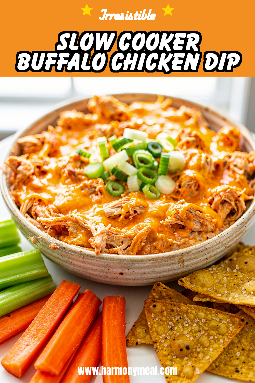 Storage and leftovers for Slow Cooker Buffalo Chicken Dip