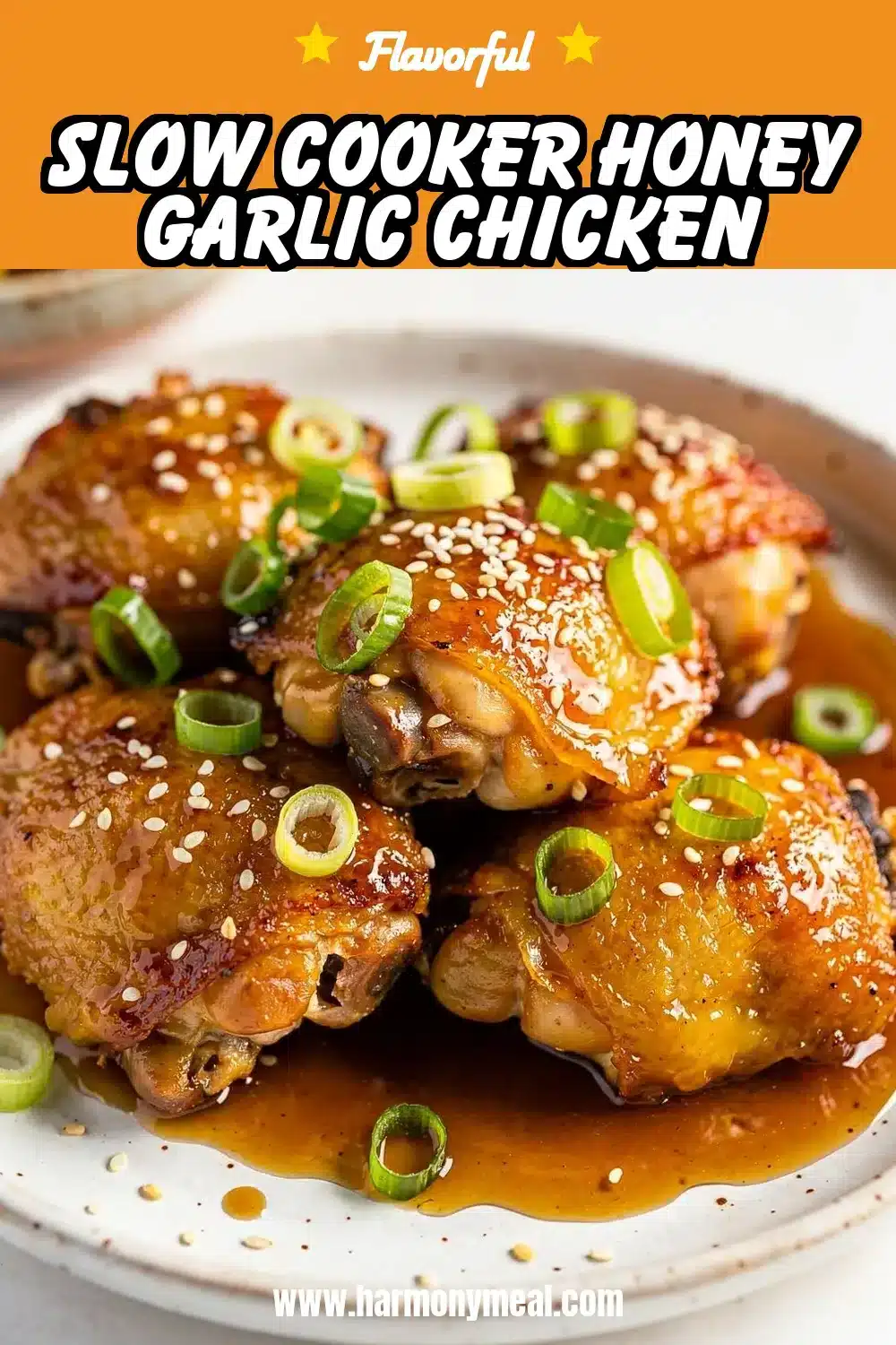 Storage and leftovers for Slow Cooker Honey Garlic Chicken