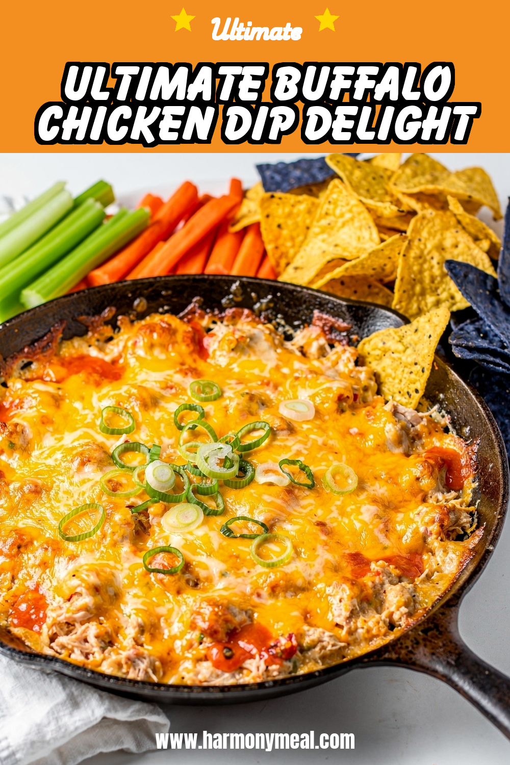 Storage and leftovers for Ultimate Buffalo Chicken Dip Delight
