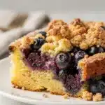 Rustic blueberry crumb cake with golden topping and powdered sugar.